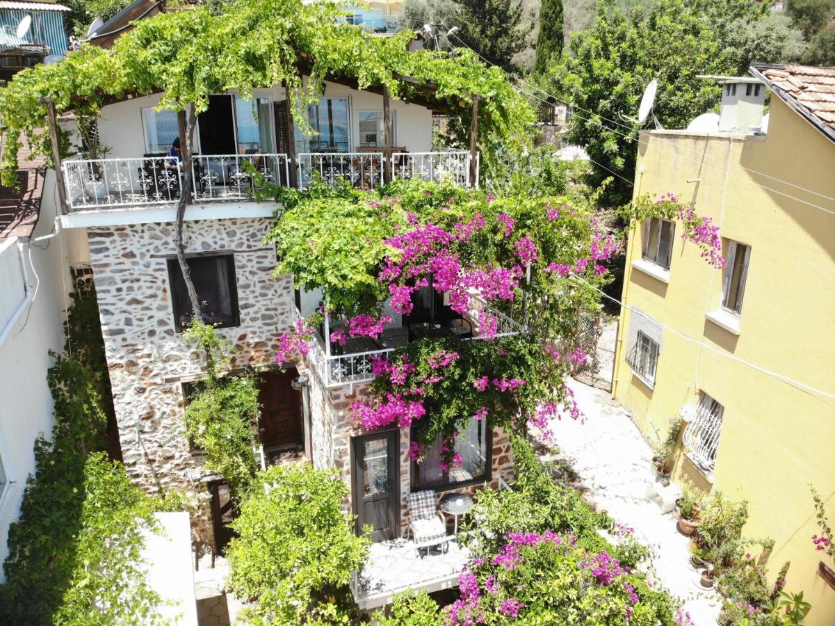 Lemon Villa Hotel (Adults Only) 3* Alanya